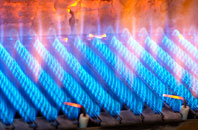 Ganllwyd gas fired boilers
